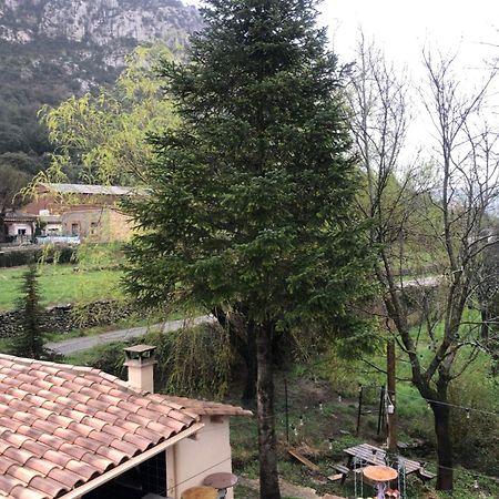 Auberge De La Vallee Saint-Jean-de-Buèges Eksteriør bilde